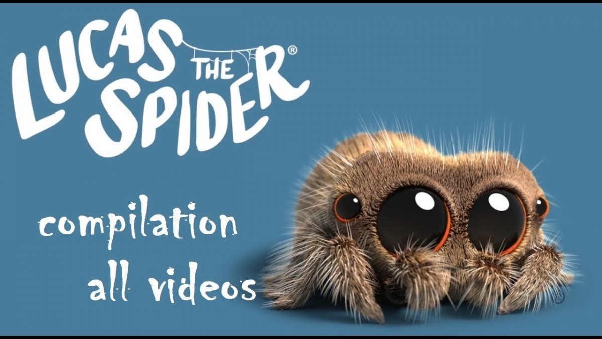 Мультик Lucas the Spider
