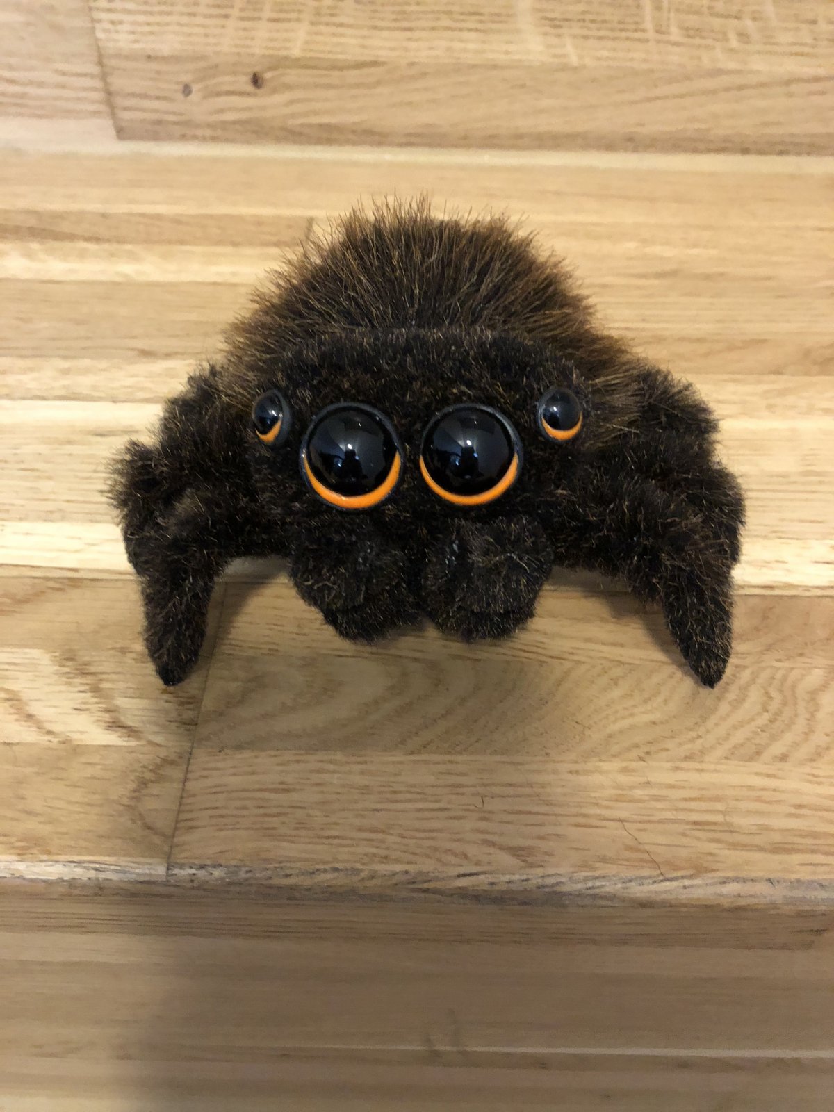 Лукас Спайдер