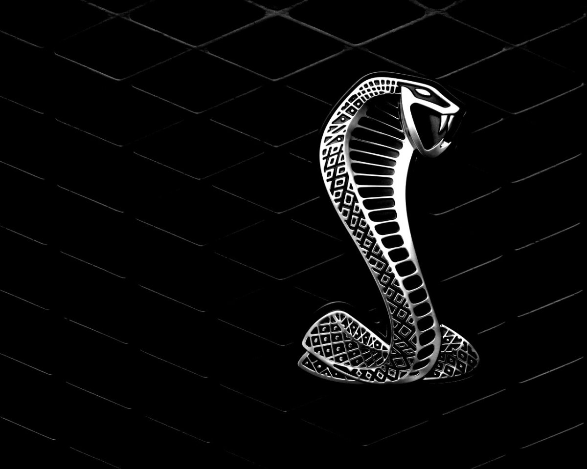 Кобра обои на рабочий стол