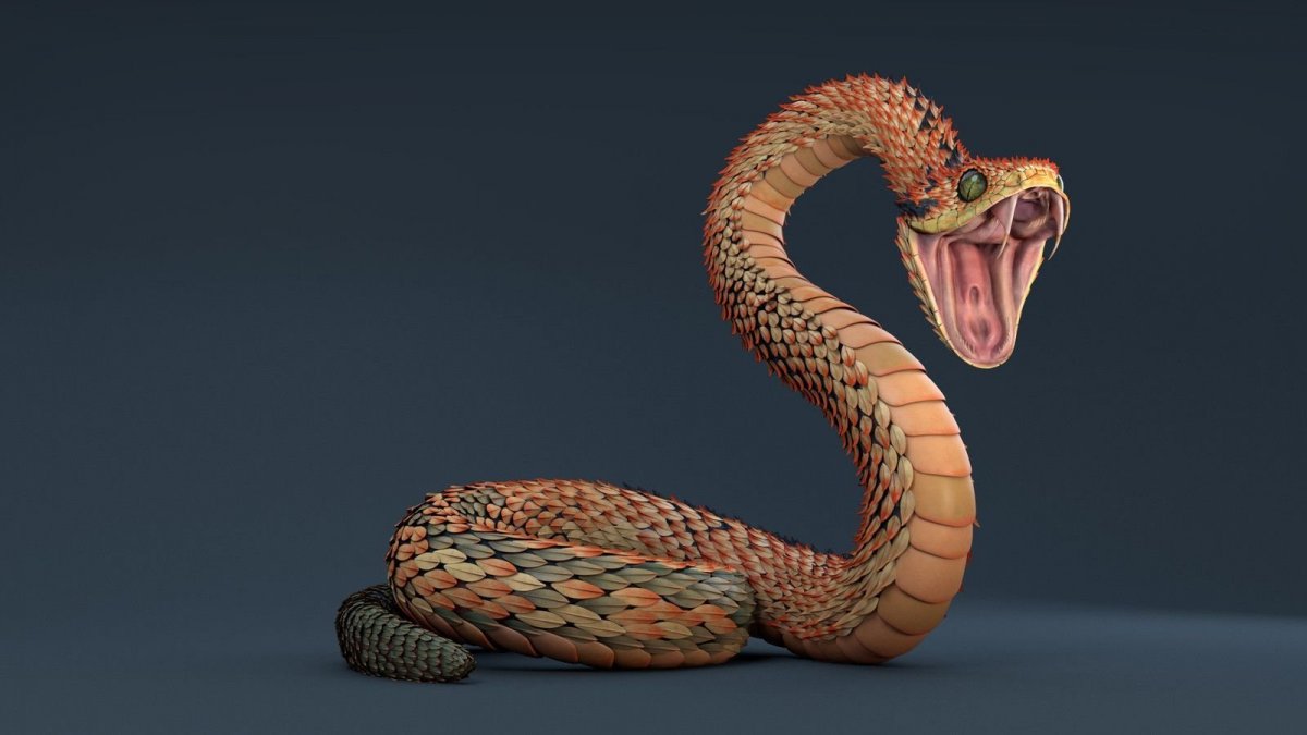 Красивые змеи