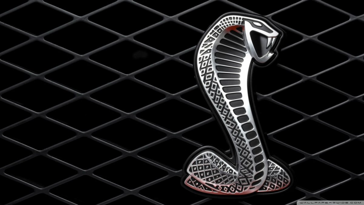 Королевская Кобра обои