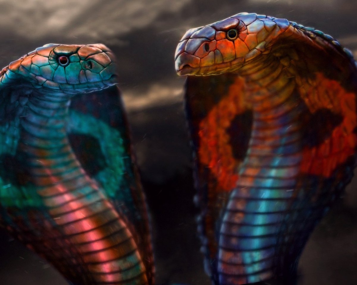 Малахитовая Кобра