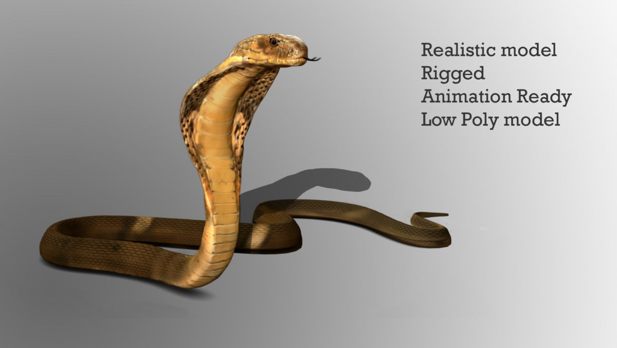 Черный Аспид змея