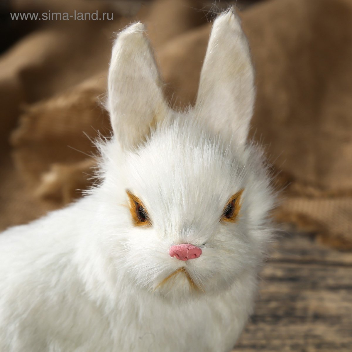 ВАЛАКАС Кроль