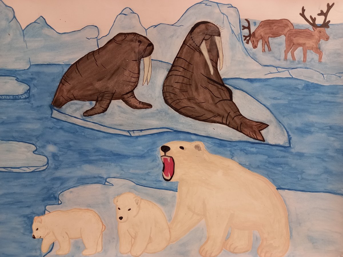 Северный Ледовитый океан пингвины