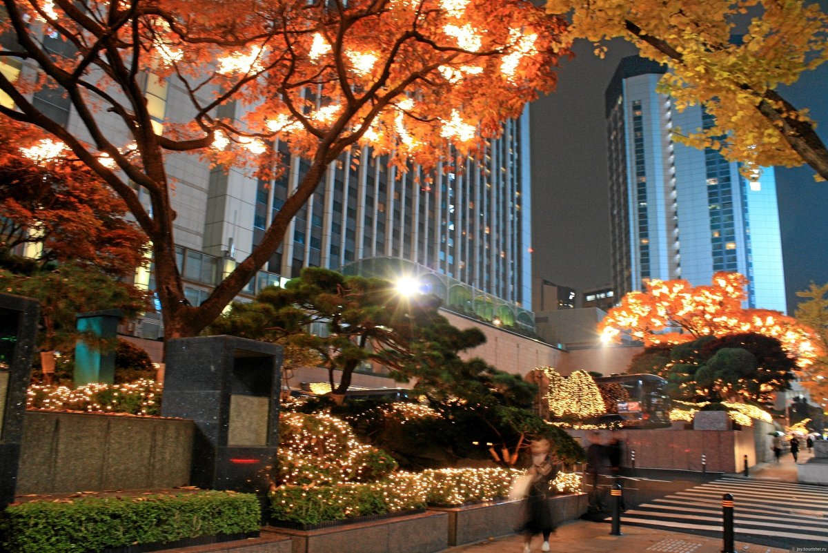 Сеул Золотая улица