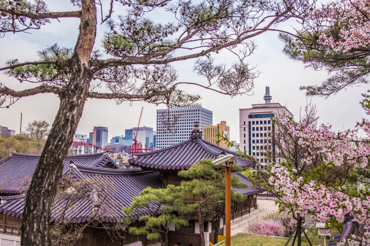 Южная Корея панорама