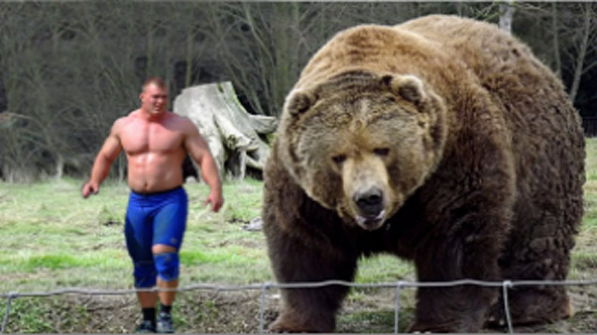 Медведь Кадьяк самый большой в мире