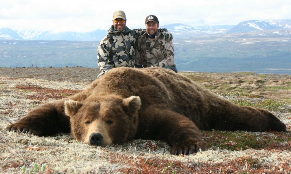 Гризли медведь вес рост