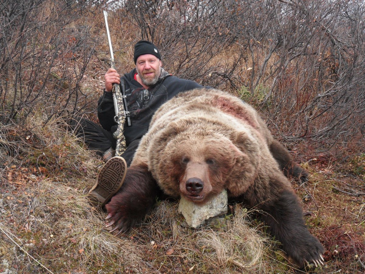 Медведь с маленькой головой и большим телом