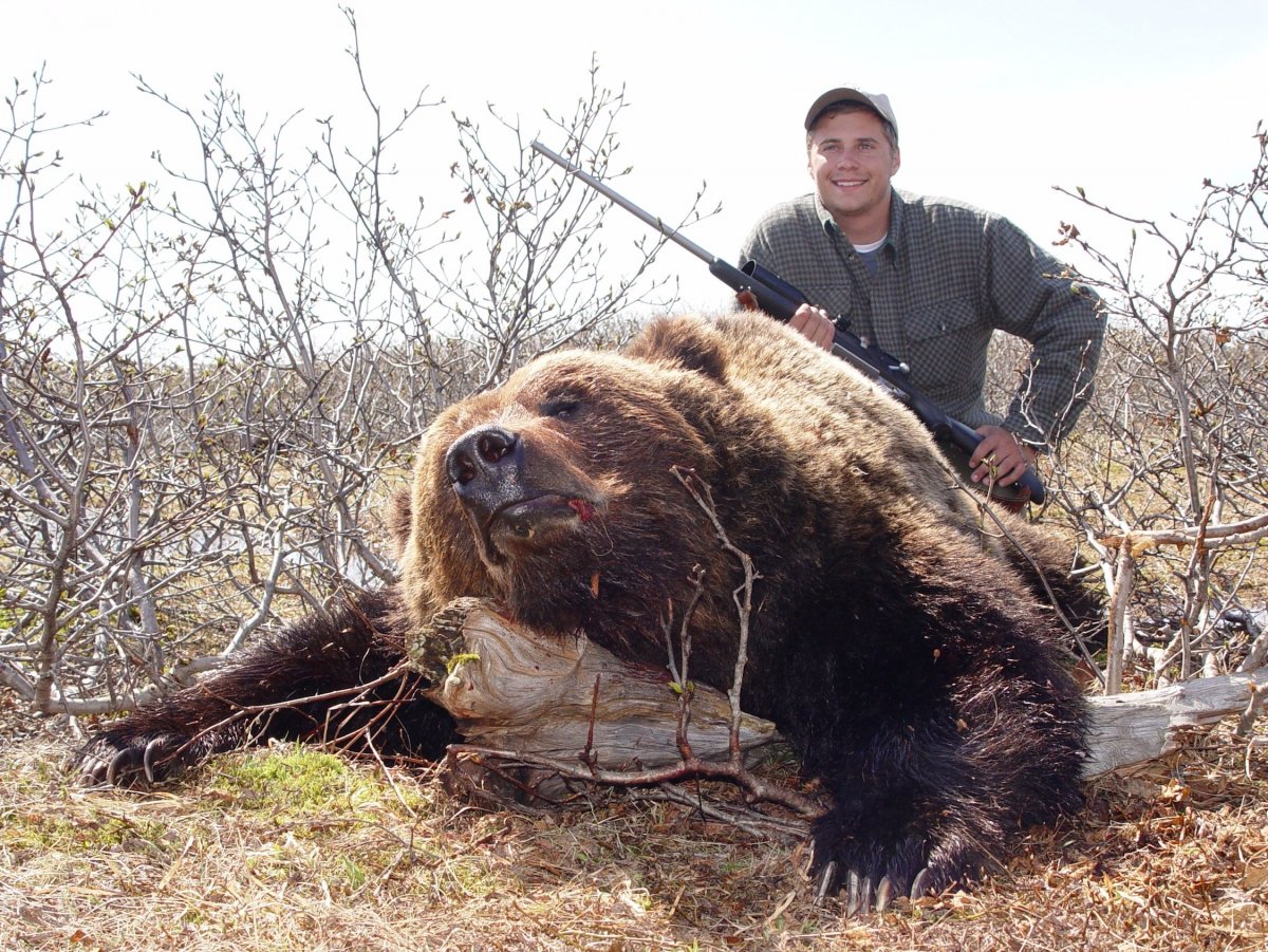 Медведь Кадьяк самый большой в мире