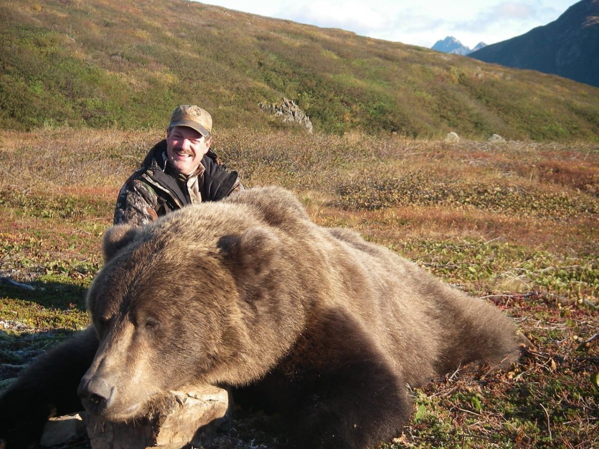 Канадский медведь Гризли