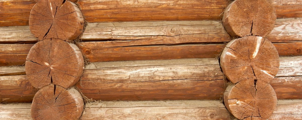 Спил дерева