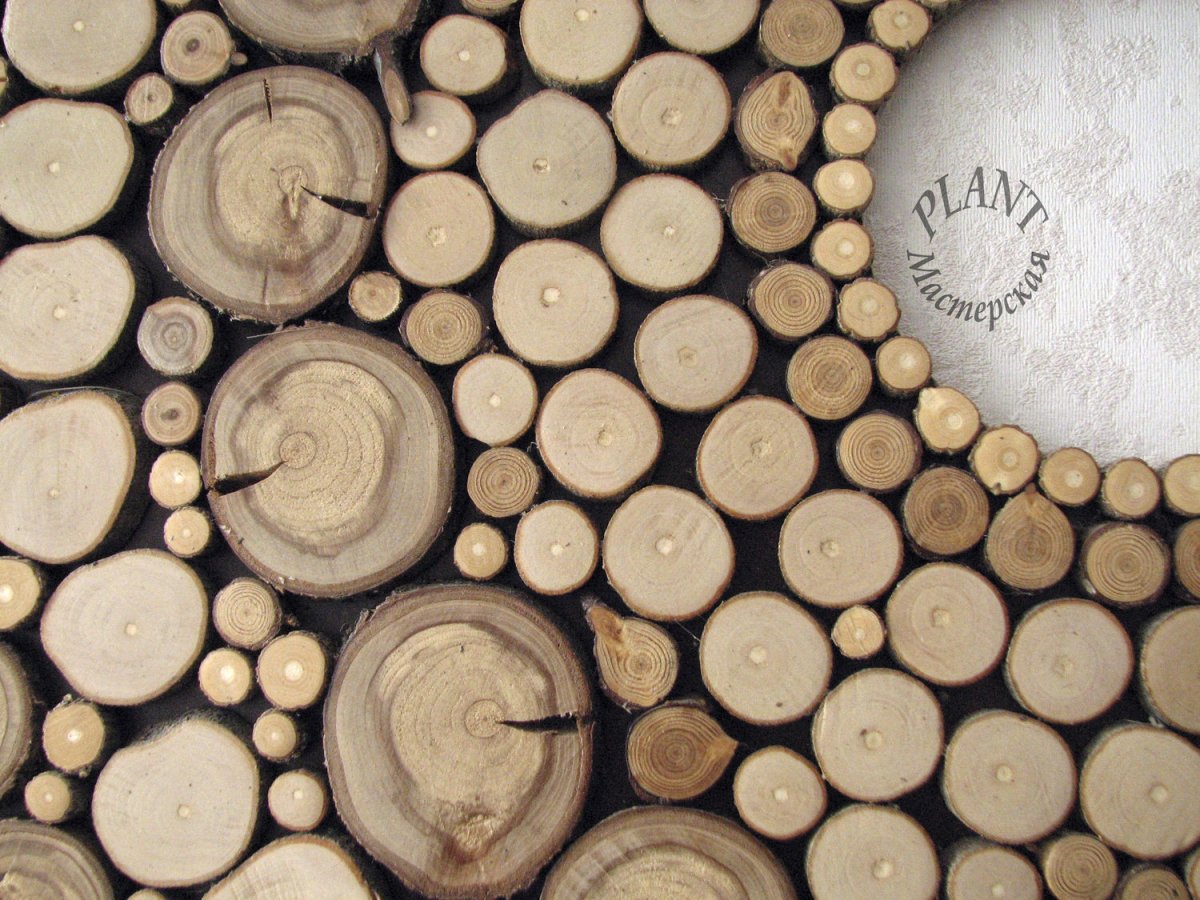 Текстура бревна