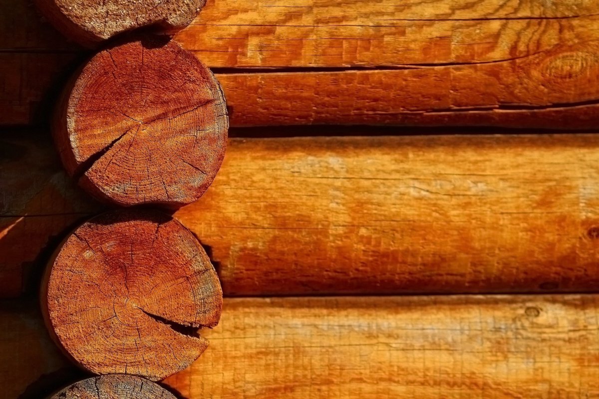 Сруб текстура