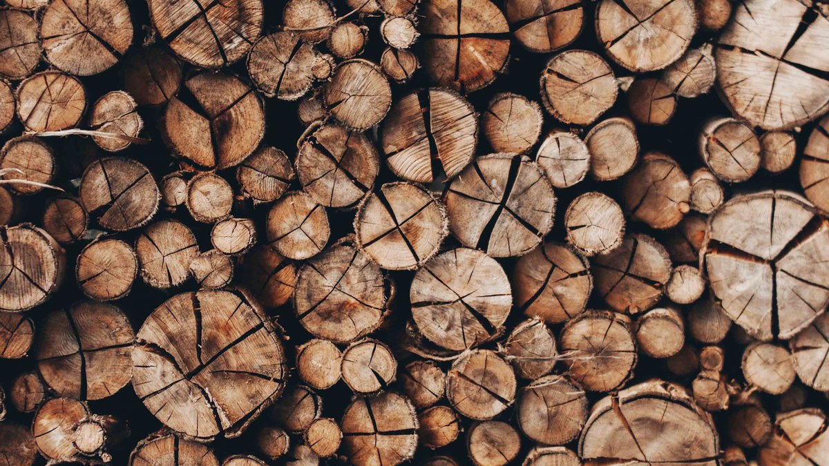 Текстура бревна