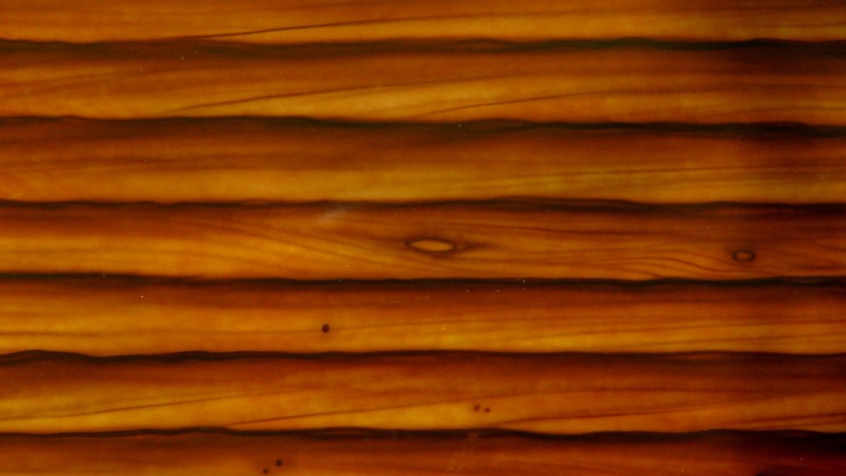 Фактура дерева