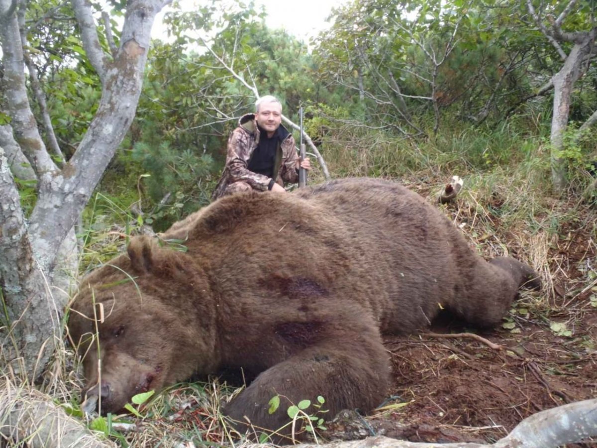 Огромный медведь