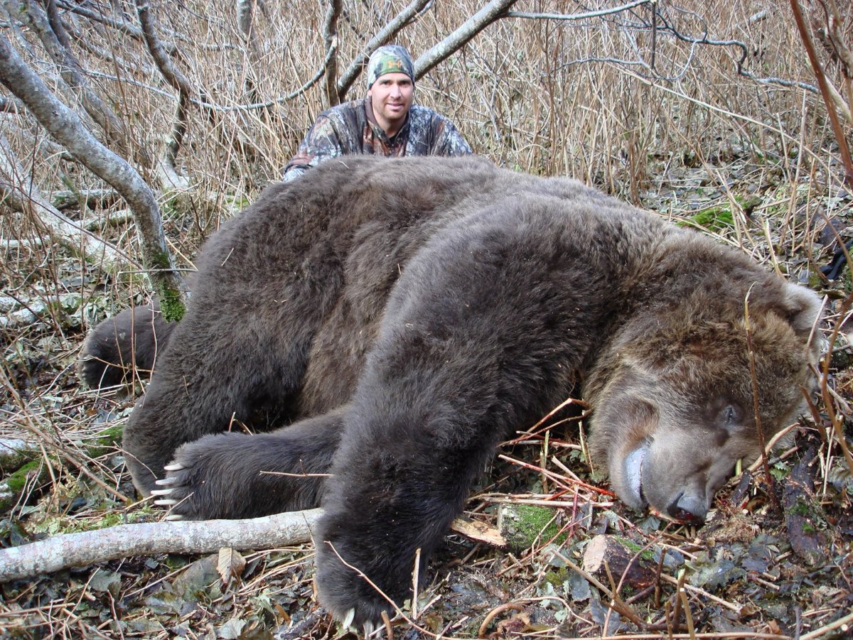 Страшный медведь Гризли