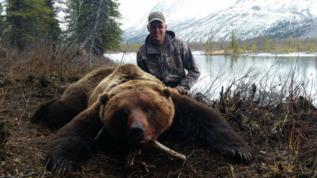 Крупный медведь Гризли