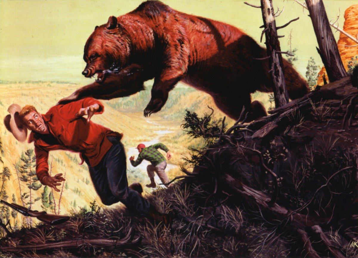 Черный медведь Грейт Маунтинс