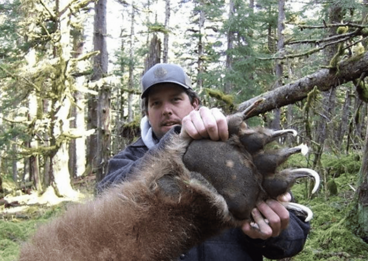 Гигантский медведь людоед