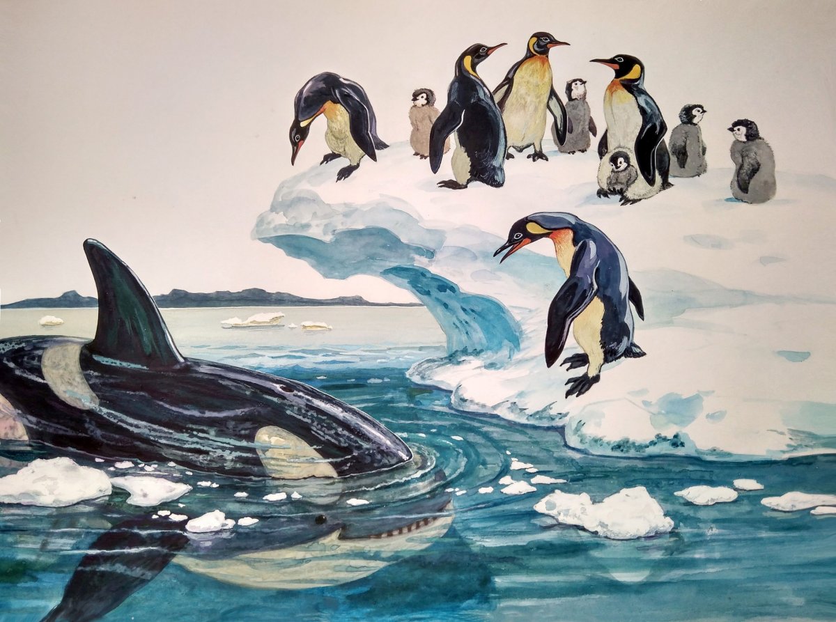 Морской леопард и Касатка