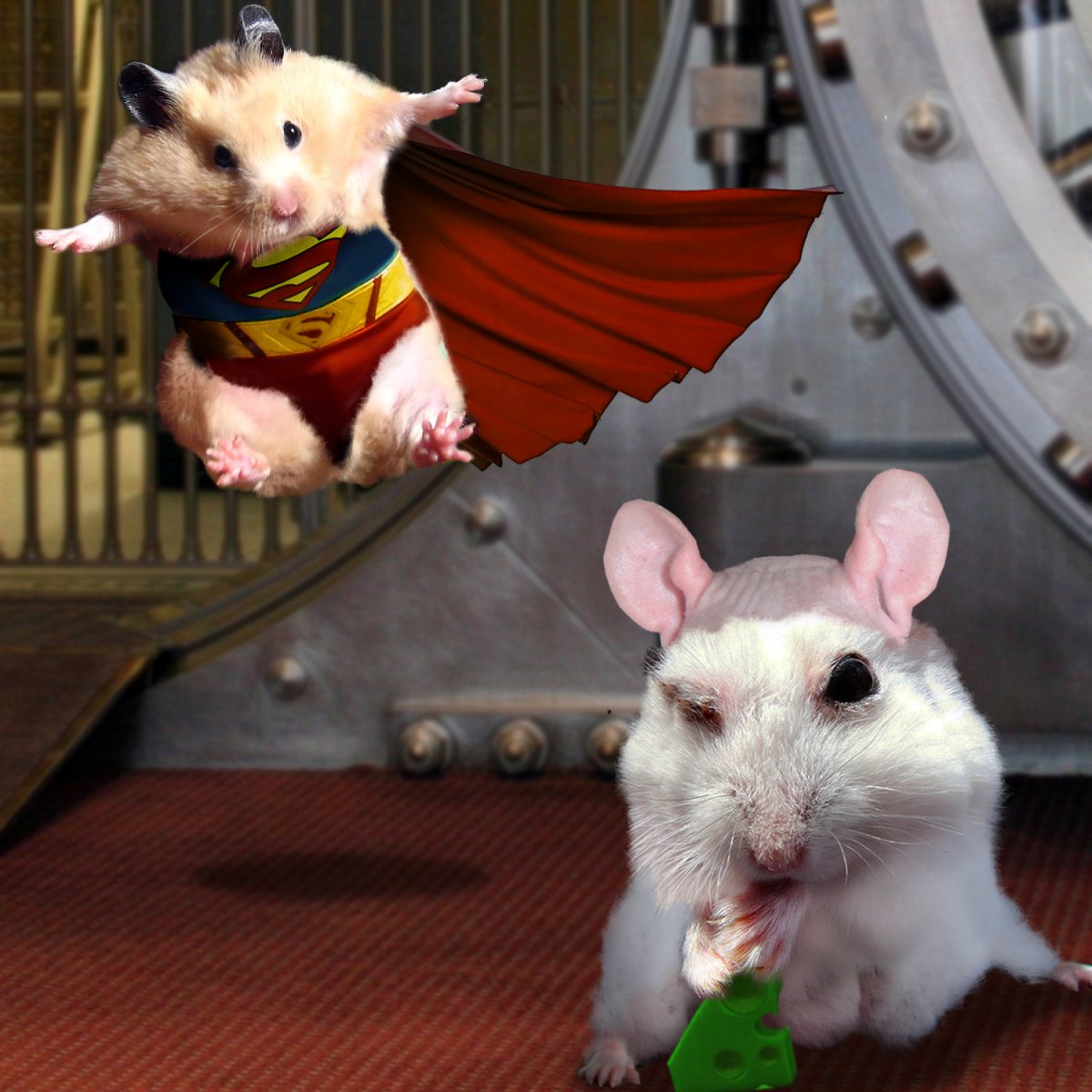 Морские свинки