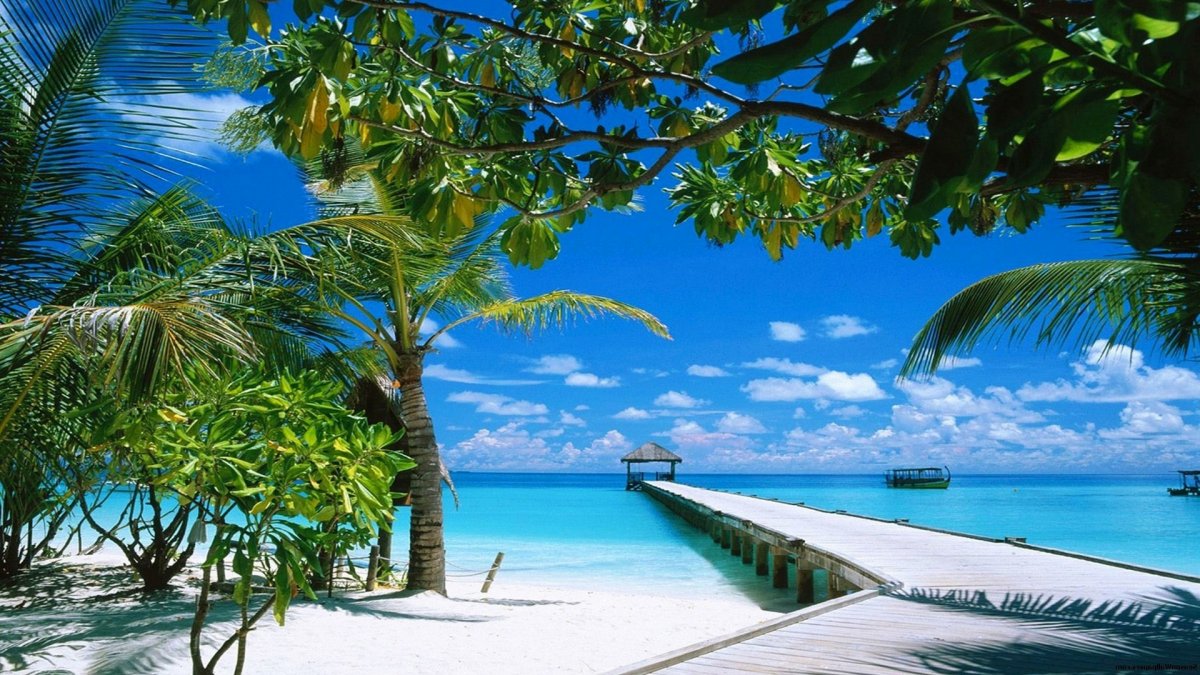 Красивое побережье