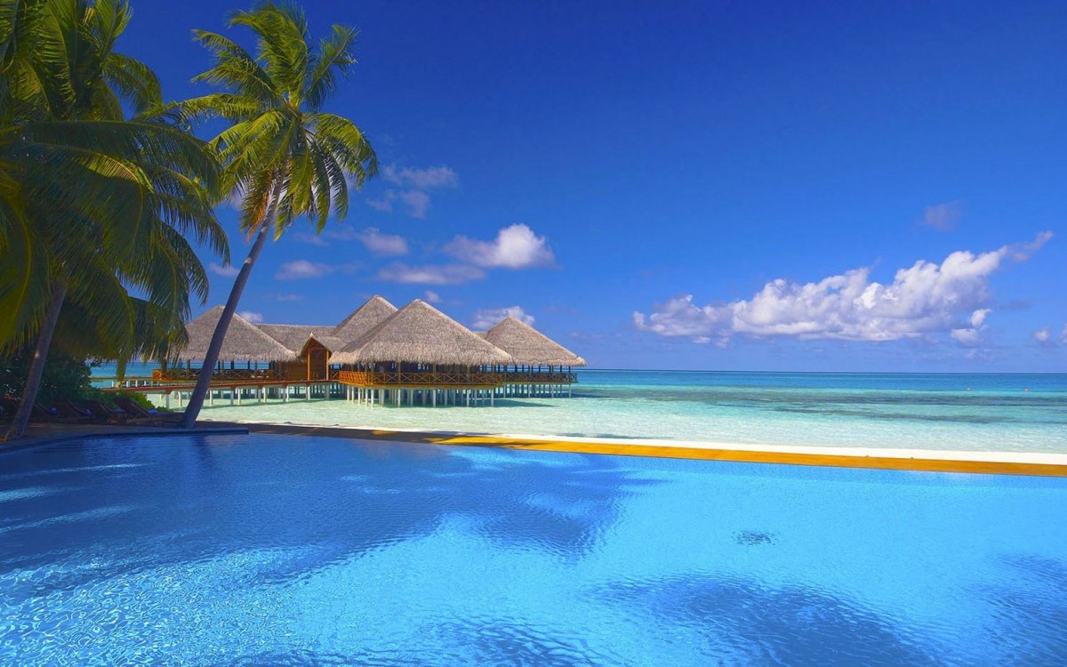 Канары, Карибы, Мальдивы, Сейшелы.