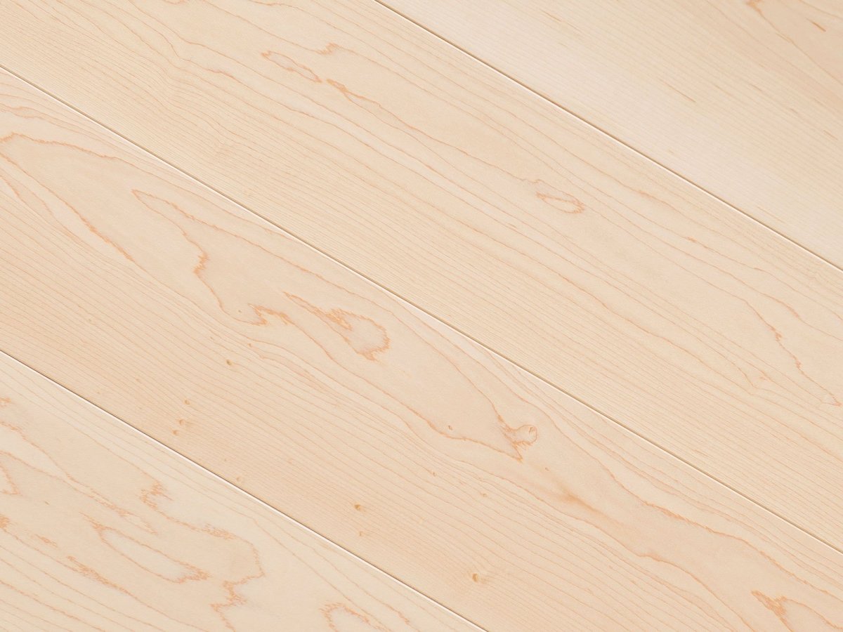 Липа текстура древесины