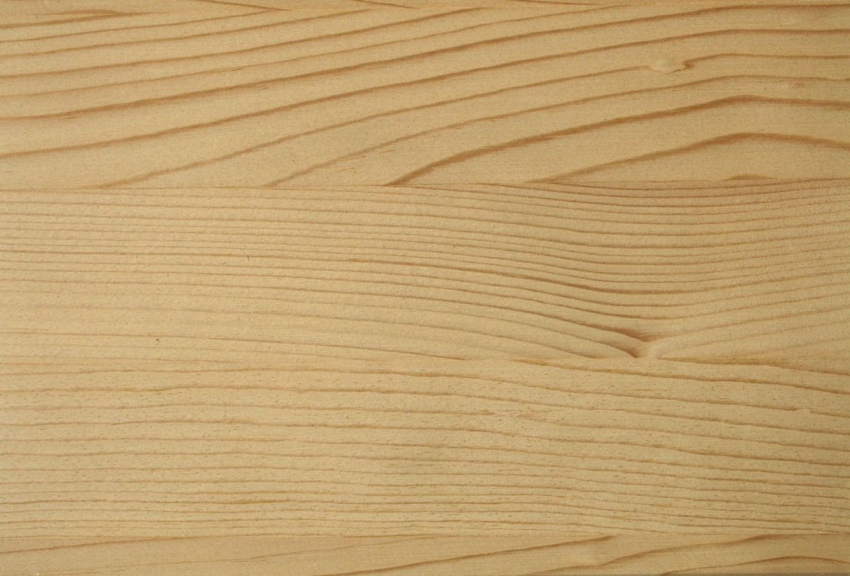 Липовый цвет акварелью