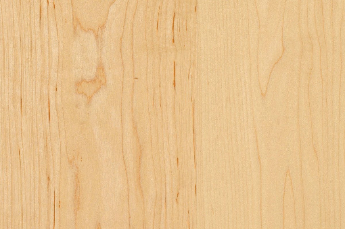 Текстура дерева липа