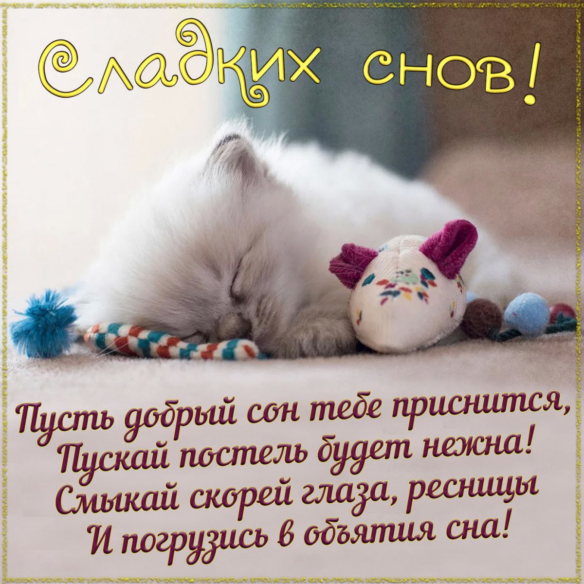 Котики спят в обнимку
