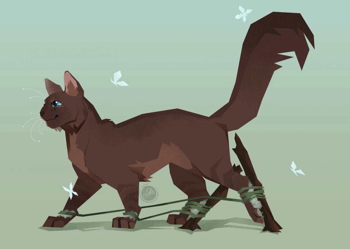 Ivypool коты Воители