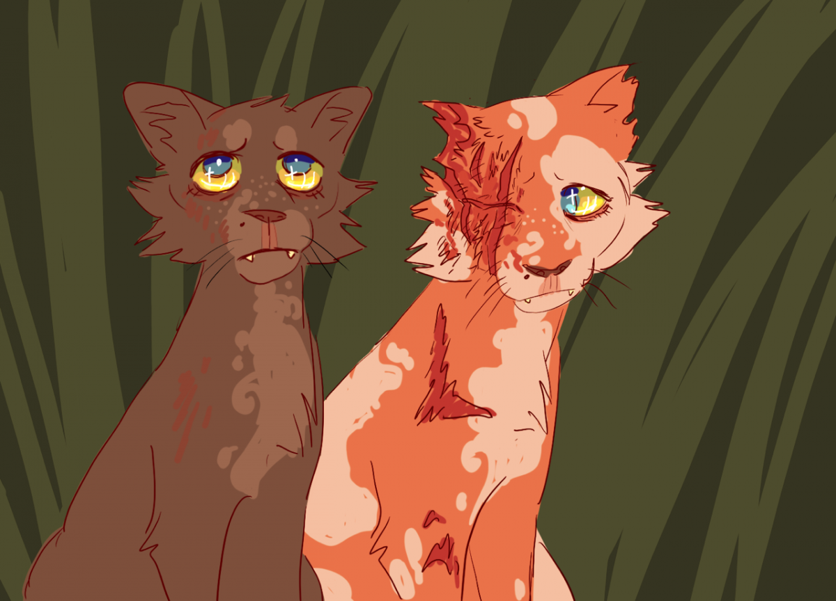 GRAYPILLOW коты Воители