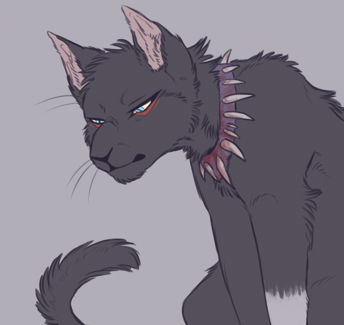 Коты Воители шипы