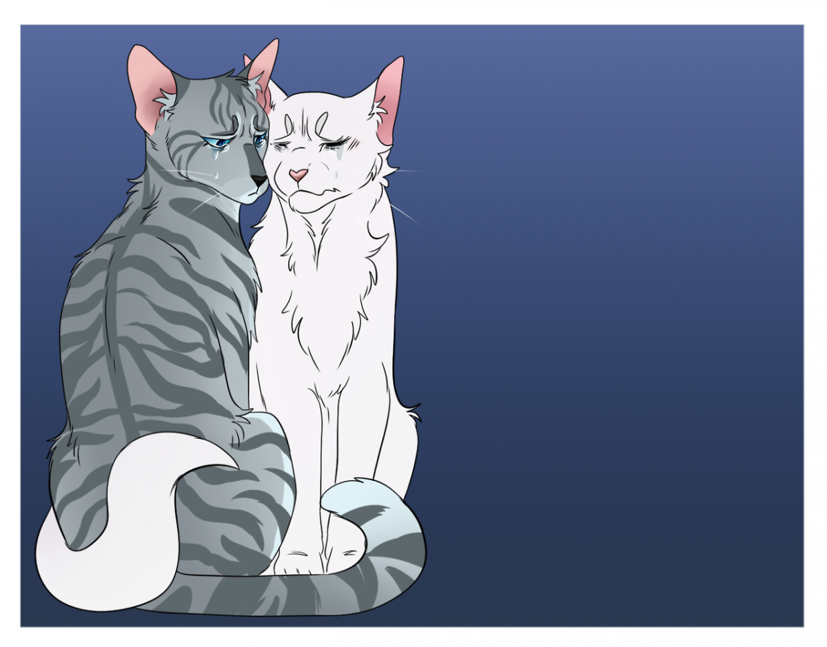 Ivypool коты Воители