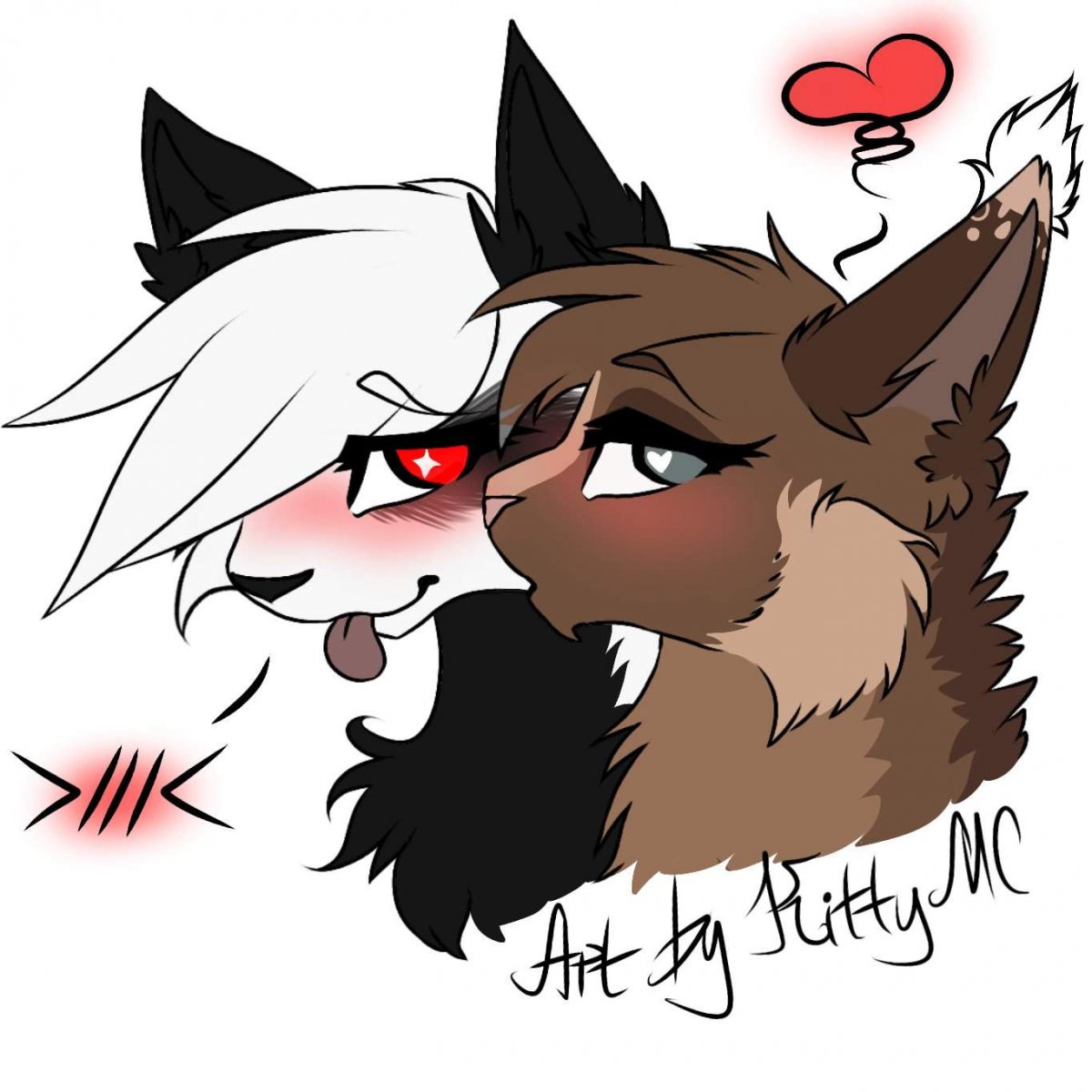 Коты Воители белка