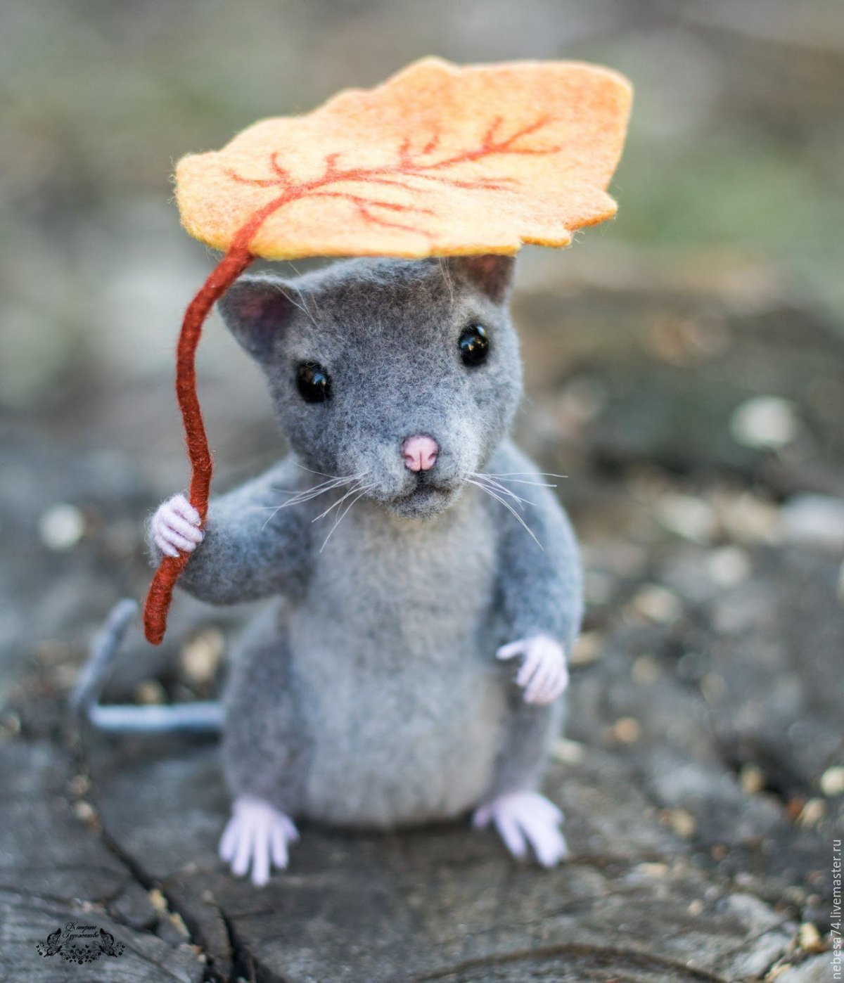 Мышь обыкновенная