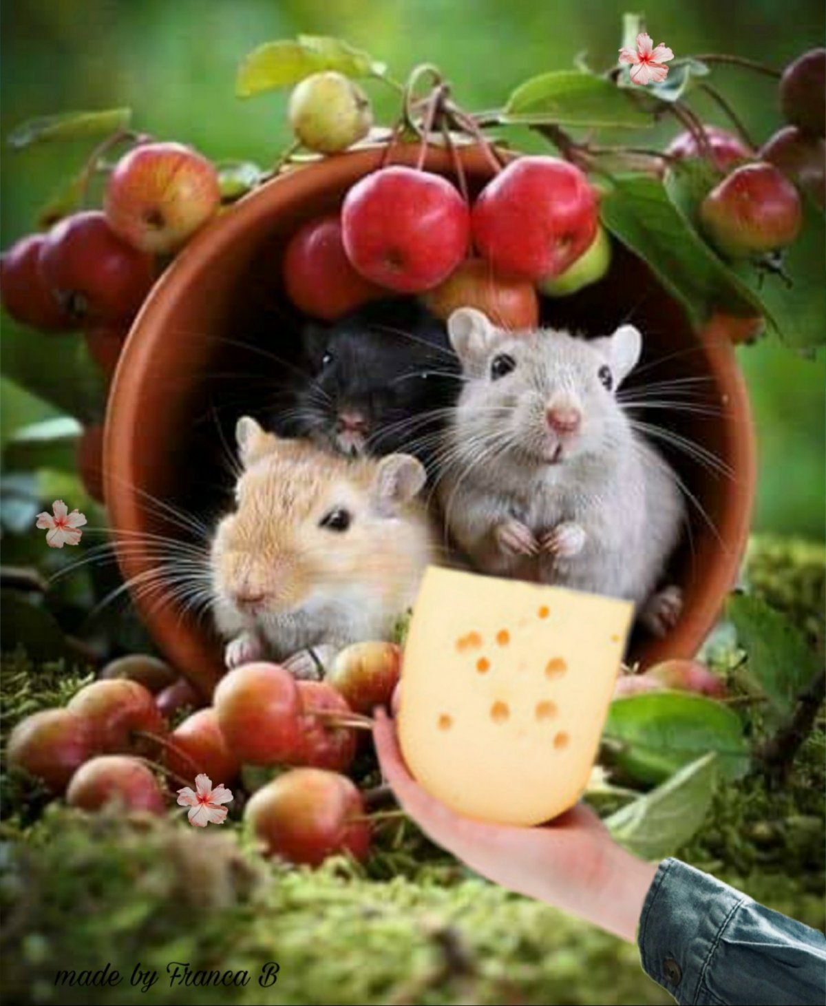 Красивая мышка