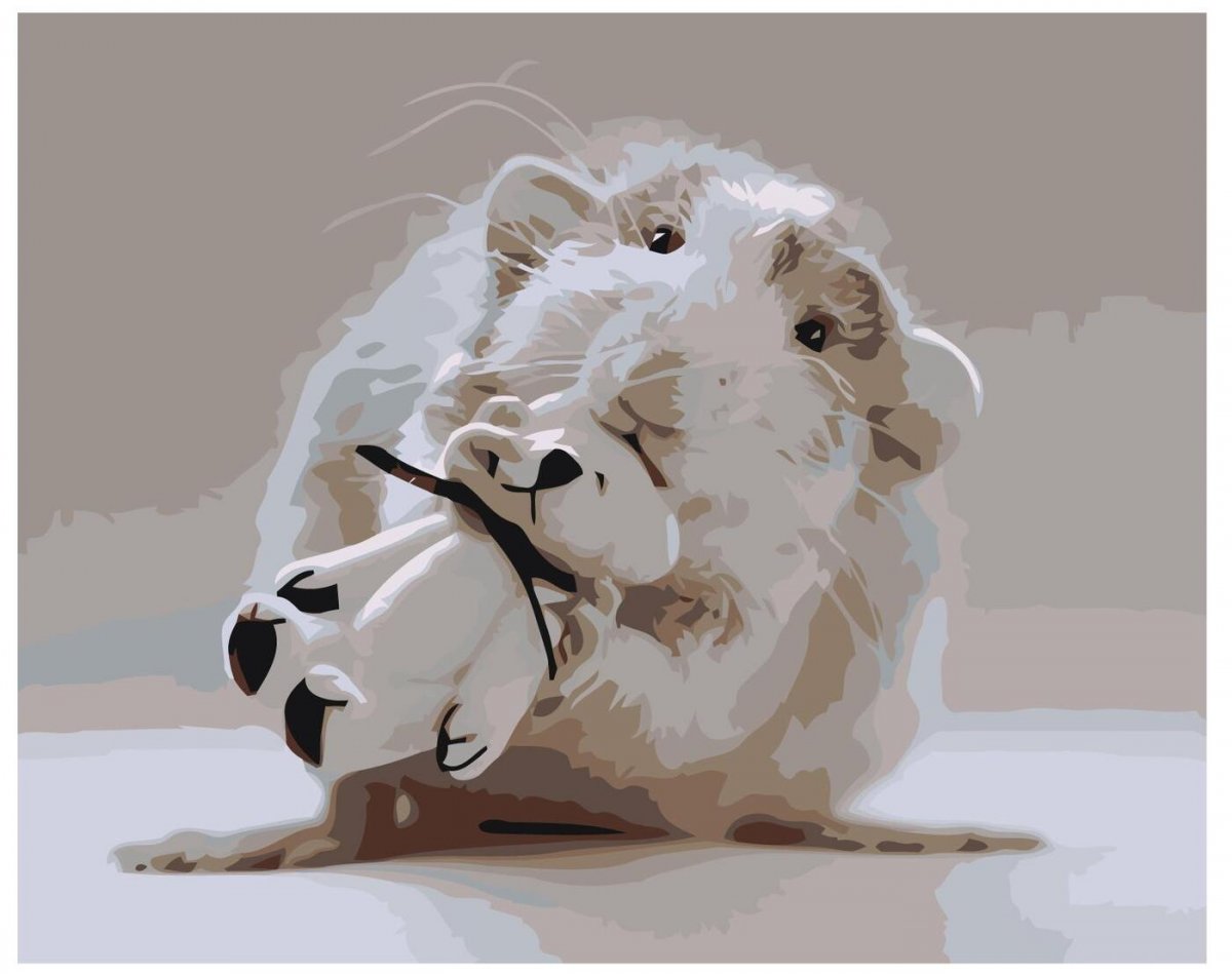 Фотограф Ellen van Deelen