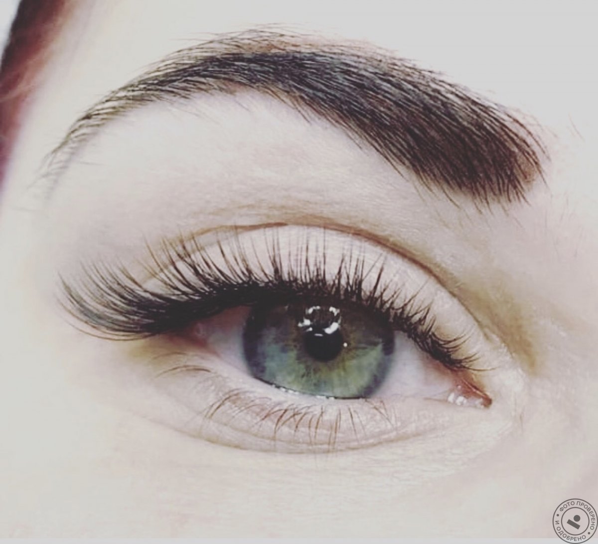 Ресницы классика лиса