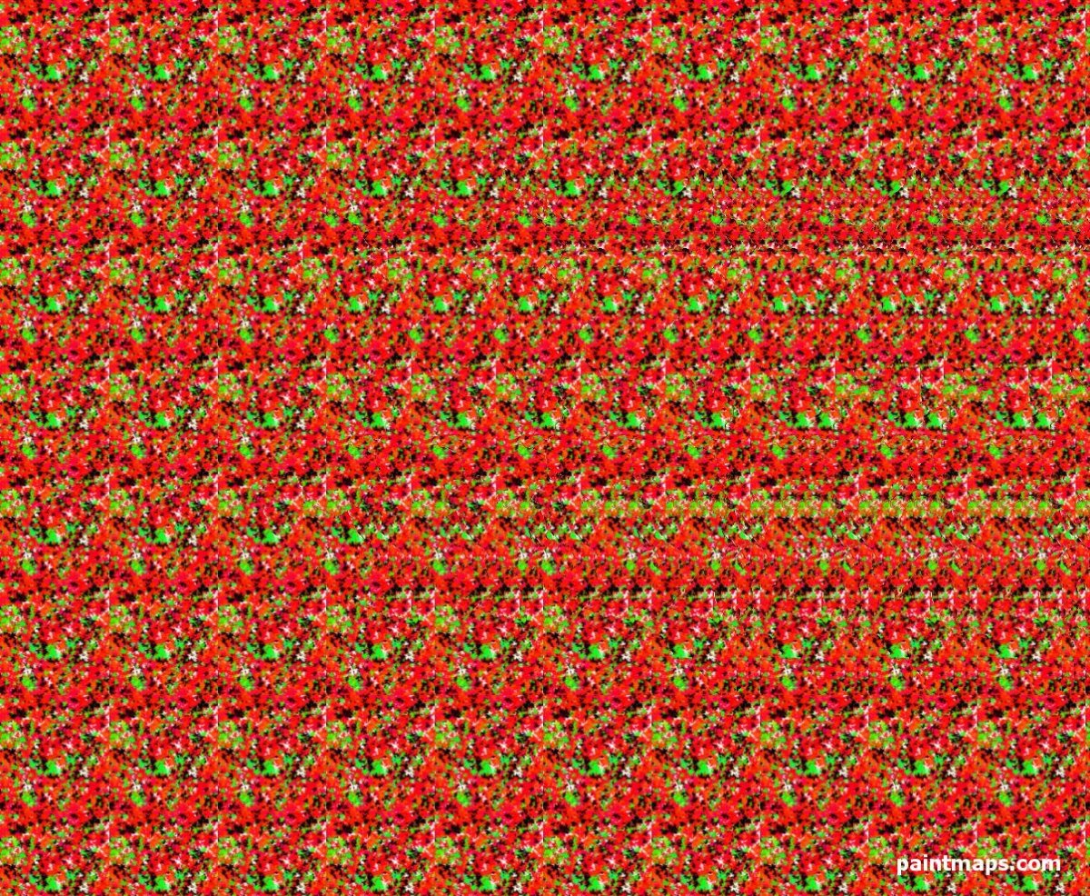 Стереограммы Хидден 3д