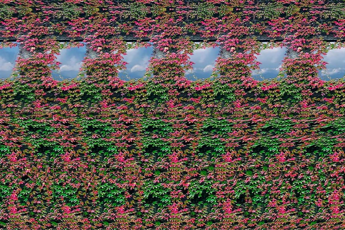 Стереограмма Эйнштейн