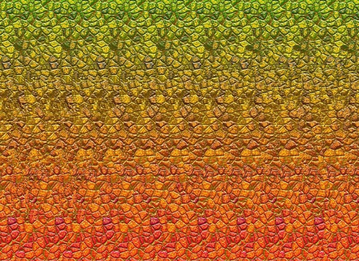 Стереоглаз 3д