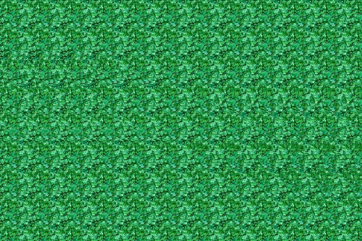 Стереограмма ящерица