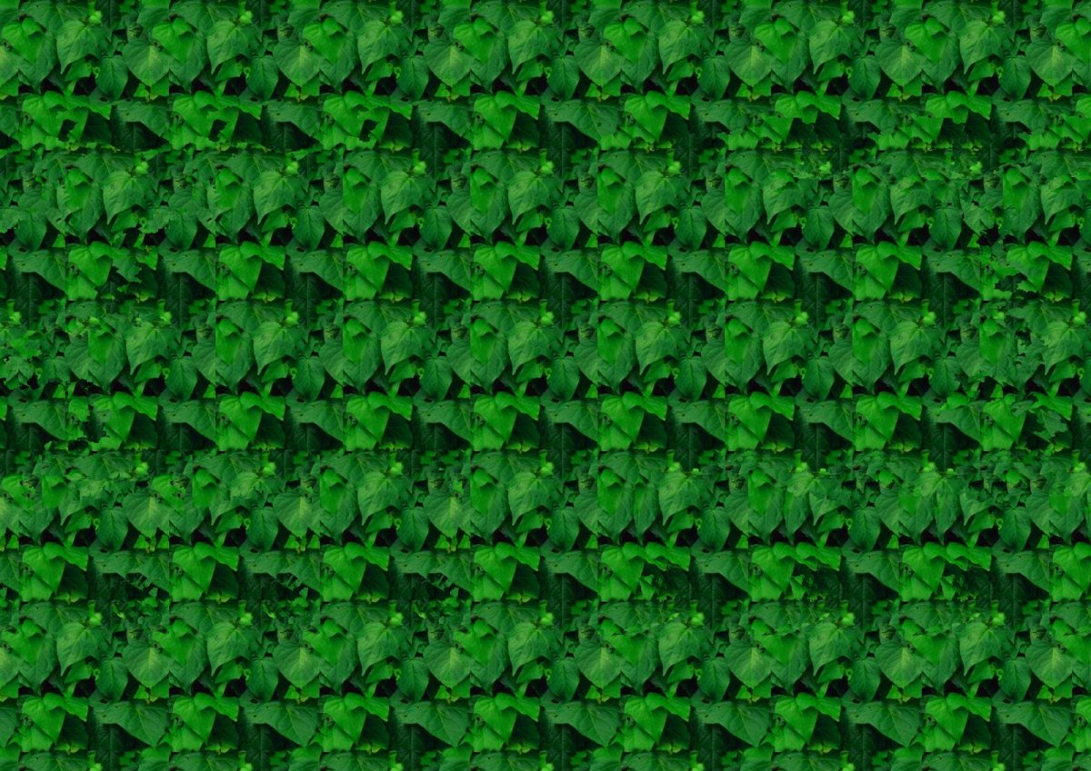 Стереограммы для зрения