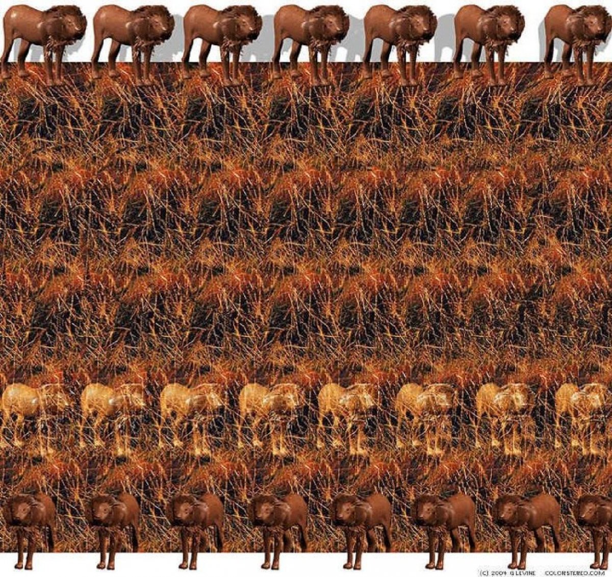 Стереограмма Будда