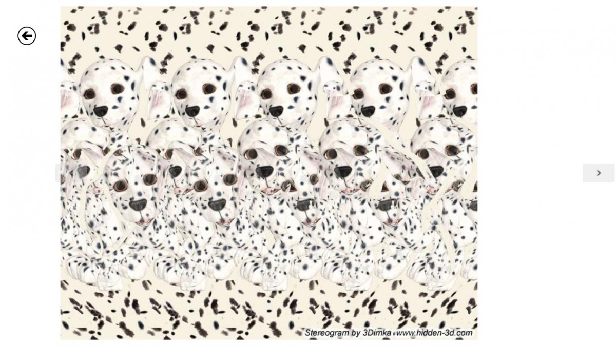 Стереокартинки Далматинцы
